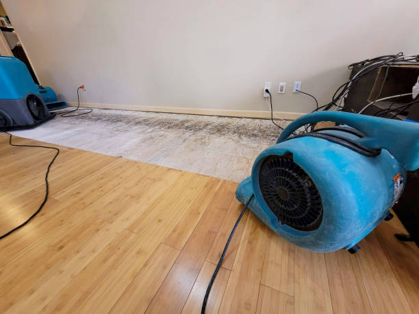 Professional Burst Pipe Water Damage technician working in Jamison, PA